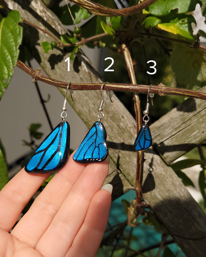 3 boucles d'oreilles en forme d'ailes de papillon de type morpho bleu, de tailles différentes