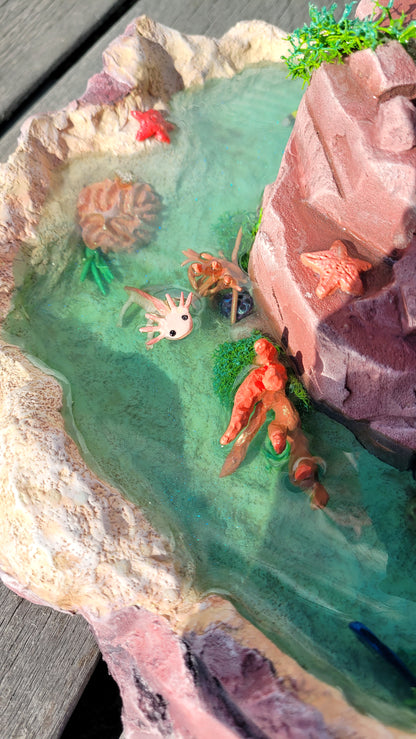 Diorama aquatique avec un gros chat sirène rose et turquoise au centre sur un rocher, entouré de fausse eau et de flore et faune tropicale